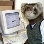 Lord Garzul Github - Premium Landscape Image Gallery - Desktop