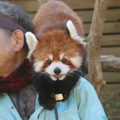 Wendy Jingwenhu Github - Premium Light Background Gallery - High Resolution