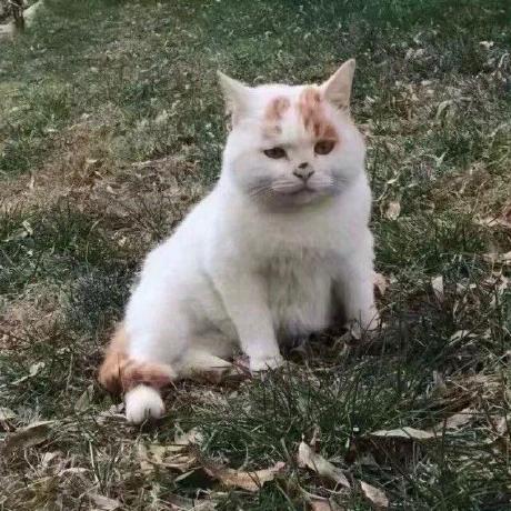 Massimo Lu Github - Best Light Textures in 4K