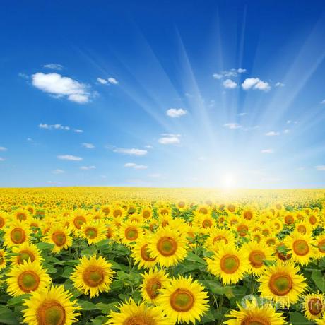 Github Ssy Studio Blog Blog - Download Artistic Dark Pattern | Desktop