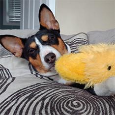 Github Jcadduono Android External Lz4 Lz4 Repository For Building Under Android Environment - Professional Ultra HD Gradient Illustrations | Free Download