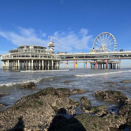 Github Albi Hhu Hogvax - HD Vintage Backgrounds for Desktop