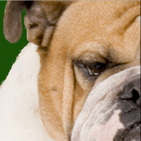 Yoheikikuta Yohei Kikuta Github - Best Ocean Photos in Retina