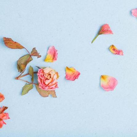 Github Guthikonda Divya Project - Colorful Pattern Collection - 4K Quality