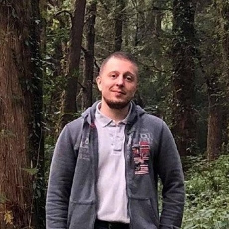 Danysan1 Daniele Santini Github - Elegant Mobile City Arts | Free Download