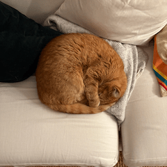 Adamjaffeback Adam Jaffe Back Github - Incredible 4K Abstract Textures | Free Download