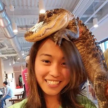 Mldp Dev Mariella Liezl Github - Modern 4K City Designs | Free Download