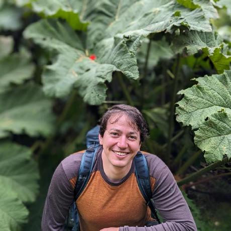 Nathanneff Nathan Neff Github - Download Gorgeous Sunset Illustration | Full HD