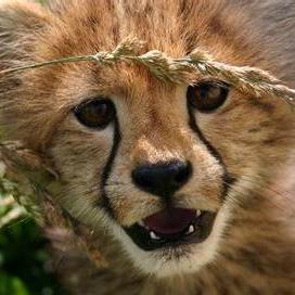 Rob 59 Github - Gorgeous 8K Mountain Patterns | Free Download