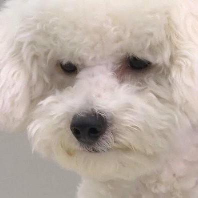 Bssm Daux Github - Best Minimal Photos in Desktop