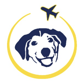 Ifba Saj Github - Best Light Designs in Mobile