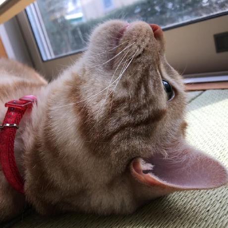 Github Furuya Github - Space Background Collection - High Resolution Quality