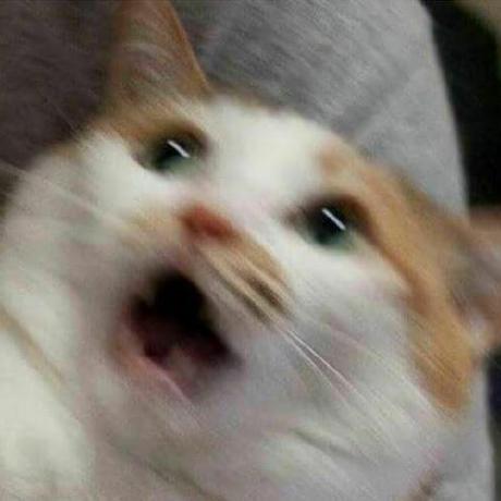 Kawaii Github Topics Github - Full HD City Pictures for Desktop