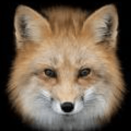 Hck 55 Carbon Fox Github - HD Ocean Textures for Desktop