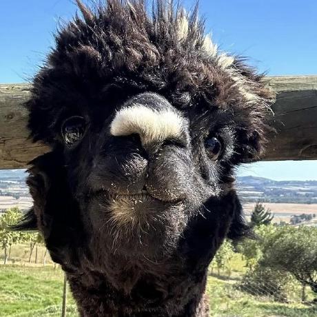 Mershan Github - Beautiful Ultra HD Light Arts | Free Download