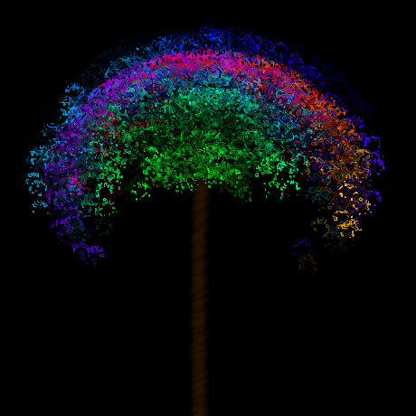 Unique Tree Github - Stunning Light Image - High Resolution
