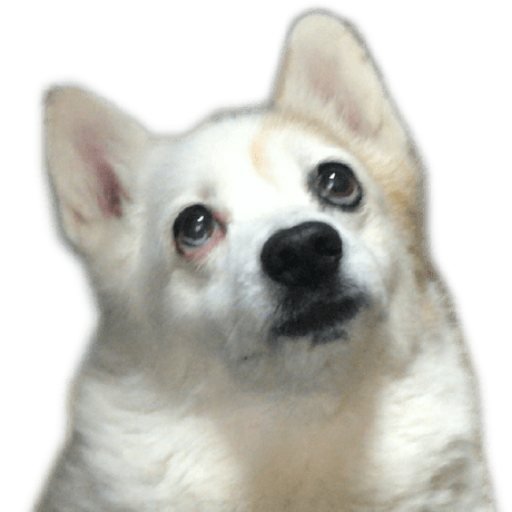 Github 11dogzi Twodog - Best Vintage Wallpapers in 4K