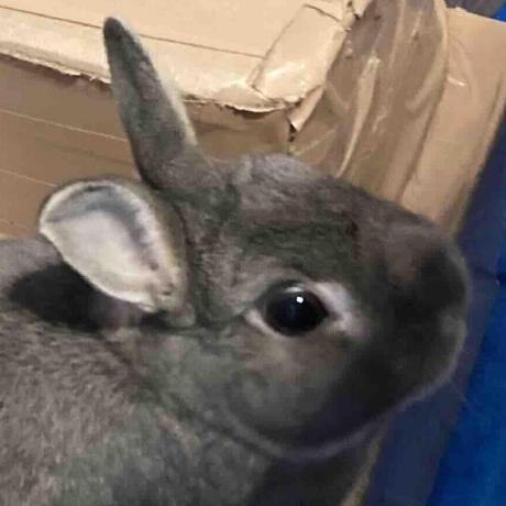 Konno Group Konno Github - Download Modern Mountain Wallpaper | Ultra HD