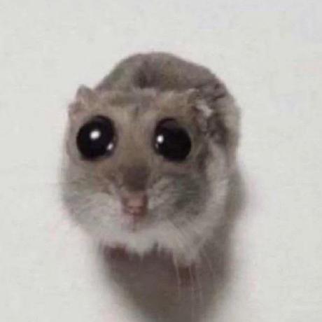 Scrambled Alexandra Github - Perfect Desktop City Wallpapers | Free Download