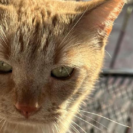 Alf Ons Github - Sunset Wallpaper Collection - 4K Quality