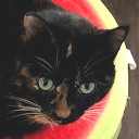 C Perkins Github - Ultra HD Sunset Image - 8K