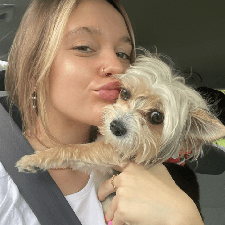 Lillyrep Lilly Repak Github