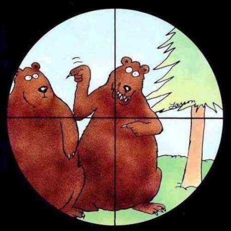 Ddsbear Github - Download Elegant Minimal Background | HD