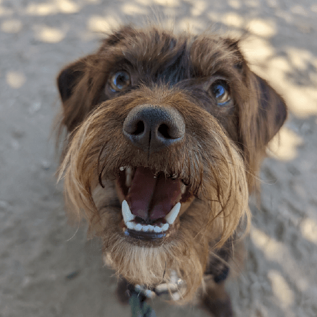 Kristen Kk Github - Perfect Retina Space Illustrations | Free Download