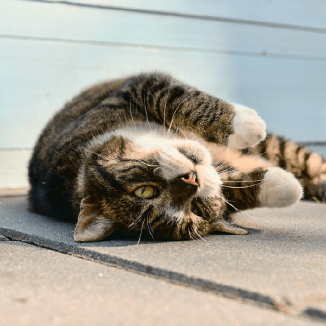 Ceedee666 Christian Drumm Github - Best Mountain Textures in Retina