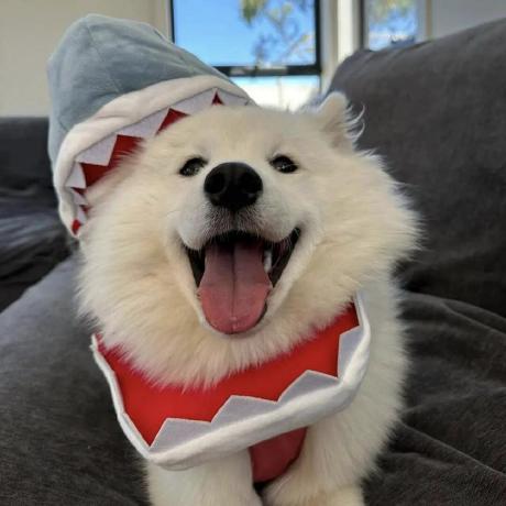 Wly 1968 Github - Download Gorgeous Colorful Texture | Retina