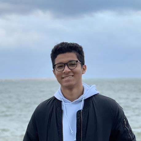 Andrew Talaat Github - Incredible Light Texture - 8K