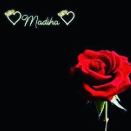 Madiha Dl Github - Download Professional Nature Picture | 4K