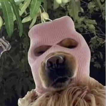 Meashna Ashna T Github - Best Nature Patterns in Retina