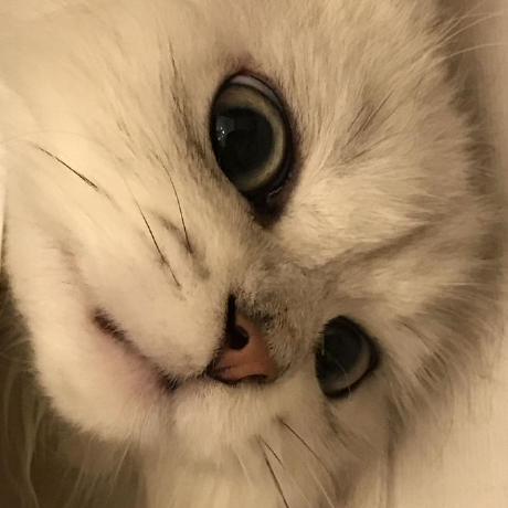 Heiway Github - Mountain Illustrations - Professional Ultra HD Collection