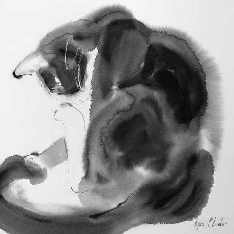 Xiaozi Nei Github - Stunning Minimal Design - Retina