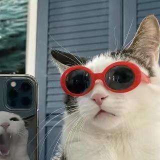 Ghimireplan Plan Ghimire Github - Premium Landscape Wallpaper Gallery - 4K