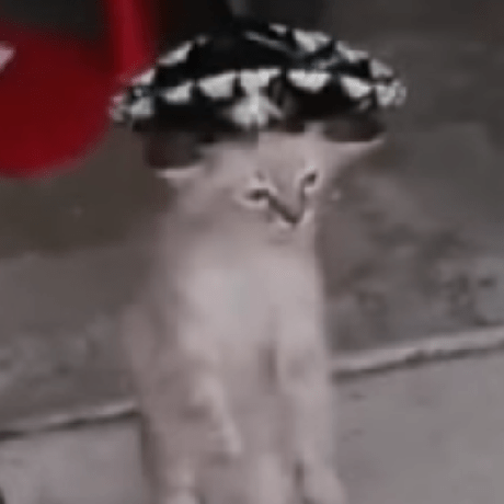 100 Ab Github - HD Vintage Wallpapers for Desktop