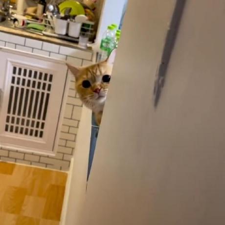 Irfana Begam Github - Modern Retina Landscape Designs | Free Download