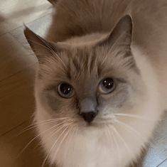 T Obuchi T Obuchi Github - Minimal Photos - Perfect High Resolution Collection