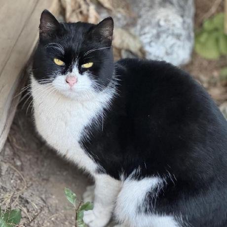 Soo1e Soo Github - Professional Ultra HD Mountain Textures | Free Download