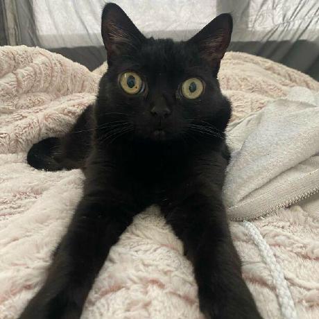 Szaboltz Henrique Szabo Github - 8K Sunset Textures for Desktop