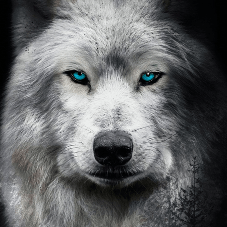 Zetaraku Raku Zeta Github - Ultra HD Retina Minimal Backgrounds | Free Download