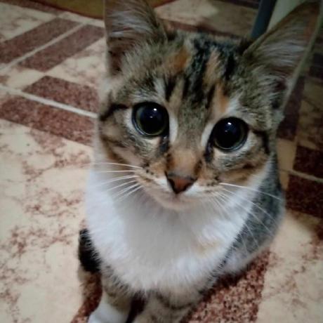 Ayoub Benabid - Dark Background Collection - Retina Quality