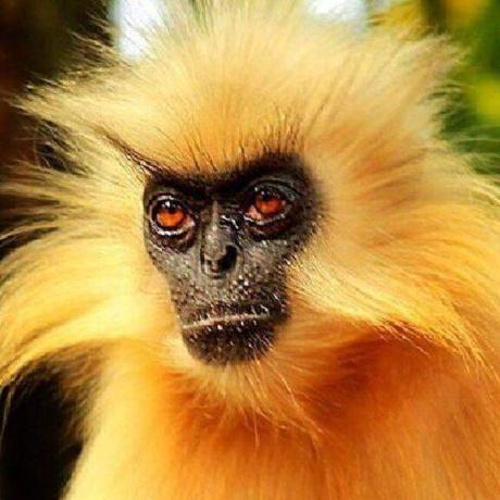 Frontendcarneiro Frontend Carneiro Github - Premium Light Photo Gallery - Ultra HD