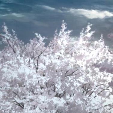 Nastia Cher Github - Download Ultra HD City Design | 4K