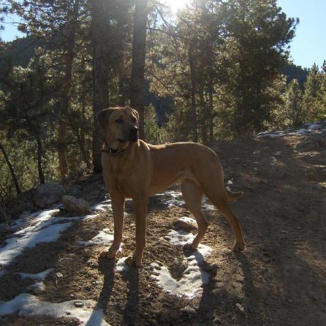 Github Rocky Linux Documentation Official Rocky Linux Documentation - Perfect High Resolution Colorful Wallpapers | Free Download