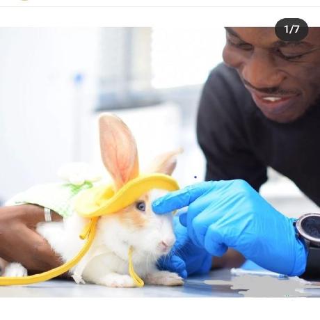 Github Joel2035 Application Madu - Modern 8K Minimal Illustrations | Free Download