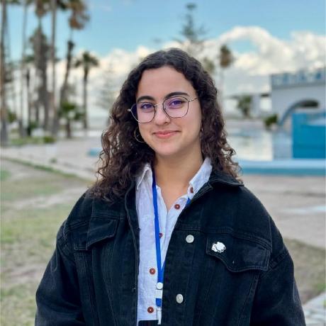 Nessprjct Nesrine Zarrad Github - Premium Sunset Picture Gallery - 4K