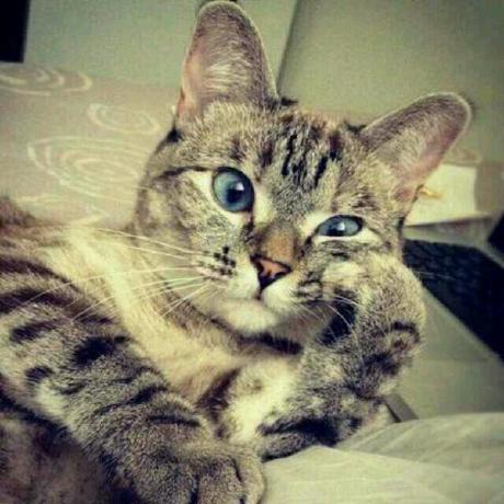 Github Dsvcx Qwe - 8K Gradient Images for Desktop