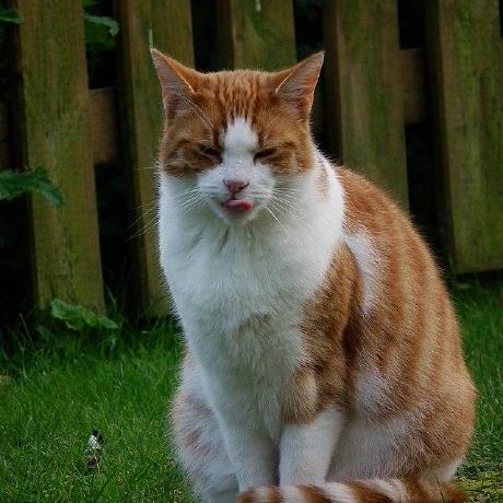 Nika Github - City Textures - Incredible Desktop Collection